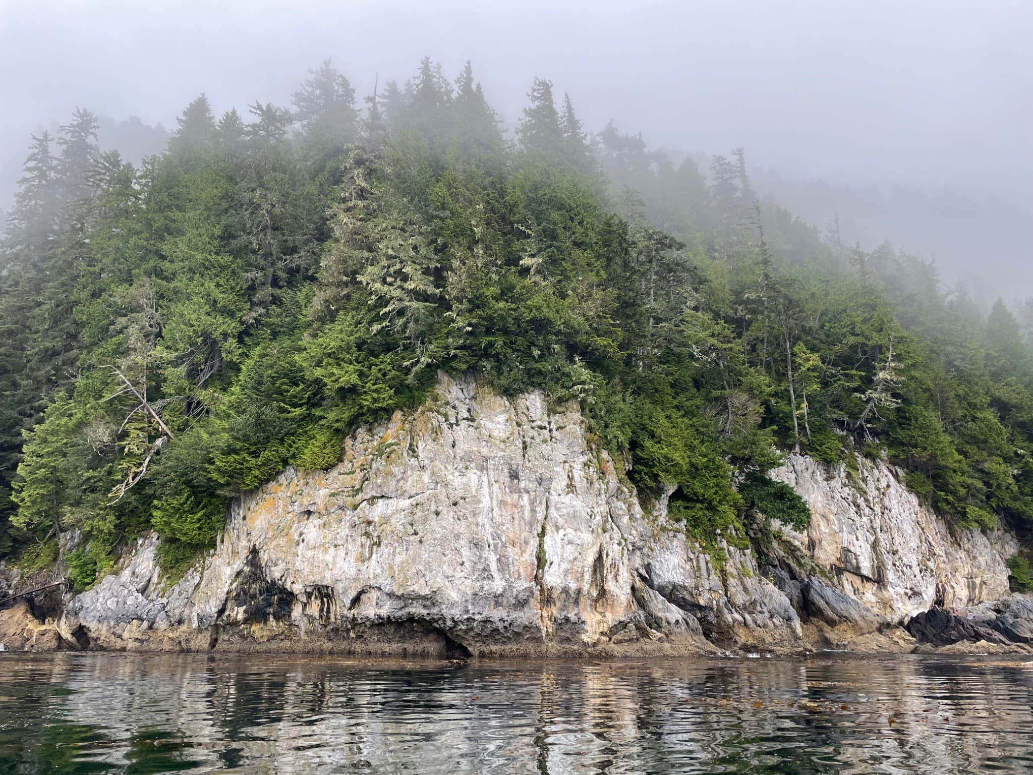 Mist settling over a forested rocky shoreline in Southeast Alaska.